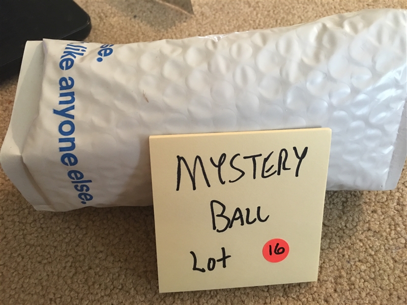 MYSTERY SIGNED BASEBALL by MLB PLAYER on $25 NL BASEBALL - PLAYERS NAME IN BAG