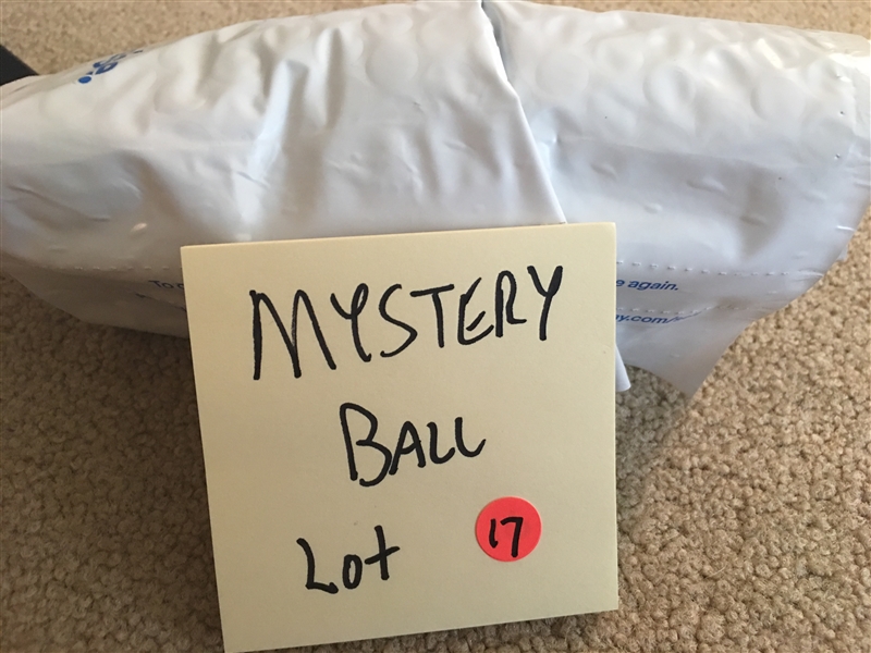  MYSTERY SIGNED BASEBALL by MLB PLAYER on $25 AL BASEBALL - PLAYERS NAME IN BAG