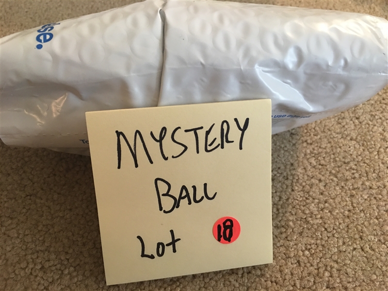  MYSTERY SIGNED BASEBALL by MLB PLAYER on $20 MLB BASEBALL - PLAYERS NAME IN BAG