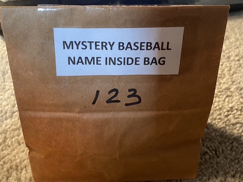 MYSTERY BASEBALL - MLB PLAYER SIGNED ON AL BASEBALL - PLAYERS NAME IS IN THE BAG